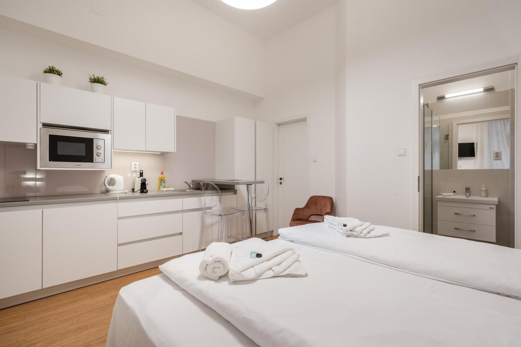 Apartamento Klauzal Garden City Studio K21